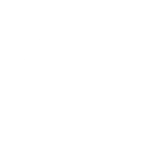 domizil-umzuege-logo